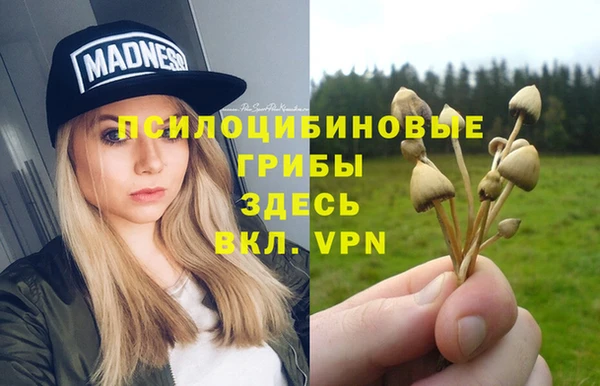 трава Верея