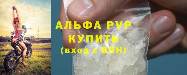 трава Бородино